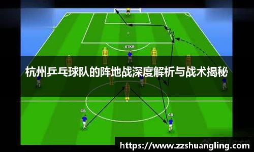 杭州乒乓球队的阵地战深度解析与战术揭秘